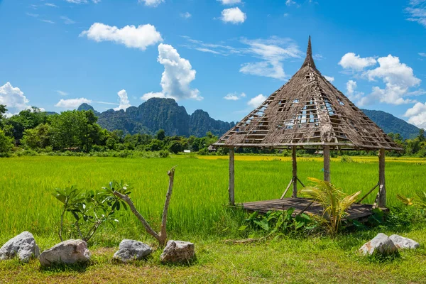 Grüne Reisfelder und Berge, Vang Veng, Laos, Südostasien — Stockfoto