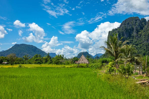 Zöld rizs mezők és hegyek, Vang Vieng, Laosz, Délkelet-Asi — Stock Fotó