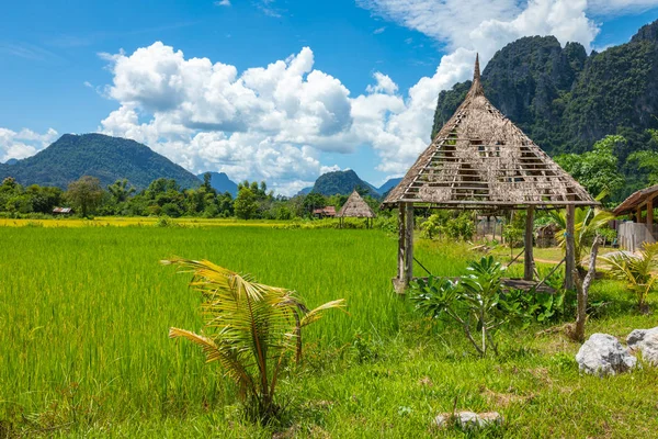 Zöld rizs mezők és hegyek, Vang Vieng, Laosz, Délkelet-Asi — Stock Fotó