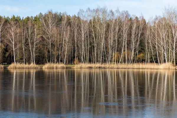 Fryst vinter sjö och skog i Polen. — Stockfoto