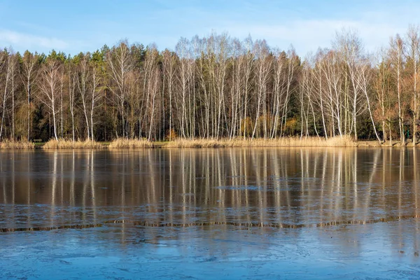 Zmrazené zimní jezero a les v Polsku. — Stock fotografie
