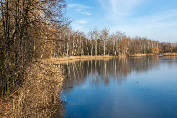 Zamarznięte zimowe jezioro i las w Polsce. — Zdjęcie stockowe
