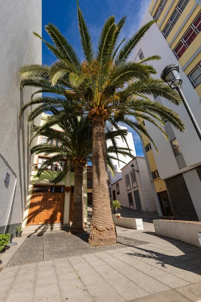 Santa Cruz, capital city of the island La Palma. Traditional arc — 스톡 사진