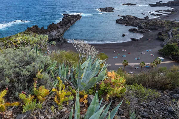 Jardin de cactus tropical et plage de sable noir à Los Cancajos. La... — Photo