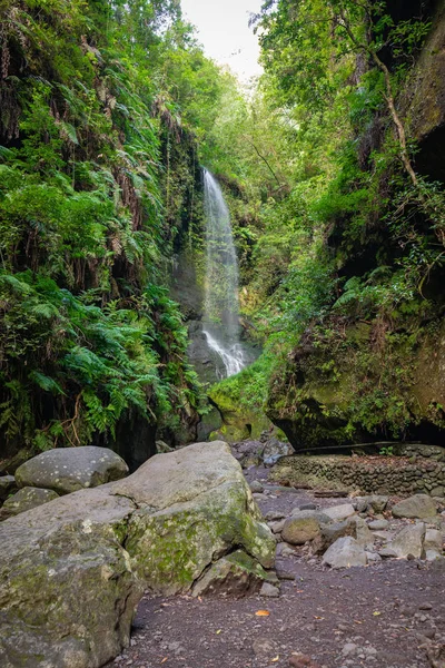 Waterval van Los Tilos, La Palma, Canarische Eilanden (Spanje)) — Stockfoto