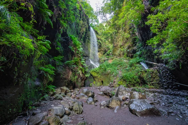 Cascada en Los Tilos, La Palma, Islas Canarias (España) ) — Foto de Stock