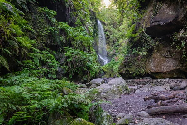 Cascada en Los Tilos, La Palma, Islas Canarias (España) ) — Foto de Stock