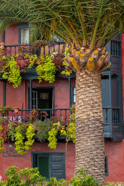 Famous ancient colorful balconies decorated with flowers in La P — 图库照片