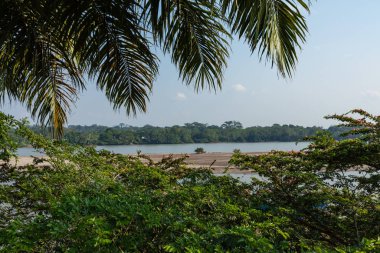 Napo Nehri üzerindeki El Coca köprüsünün manzarası. Puerto Francisco de Orellana. Ekvador 'da. Amazon. Güney Amerika. 