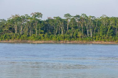 Ekvador 'un arka planında orman nehri olan tropikal ormanı muhteşem manzaralı yeşil ağaçlar. Güney Amerika.