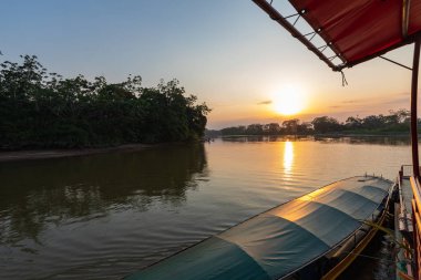 Amazon yağmur ormanlarının günbatımında bir tekne gezisi sırasında sudaki ağaçların yansımasıyla. Puerto Francisco de Orellana. Ekvador 'da. Güney Amerika.