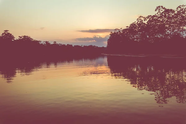 Atardecer Selva Amazónica Durante Viaje Barco Con Reflejo Los Árboles — Foto de Stock