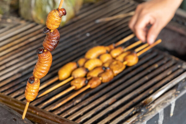 Edible palm weevil larvae (Rhynchophorus phoenicis) at traditional food market in Puerto Francisco de Orellana. Ecuador. Amazon.