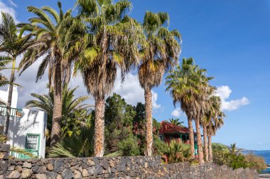 La Palma, Kanarya Adaları, İspanya 'daki Los Cancajos plajına bakın..