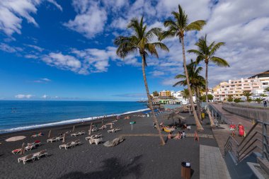 Palmiyeler plajda siyah lav kumlarıyla La Palma Adası, Kanarya Adası, İspanya 'da Puerto Naos' da.