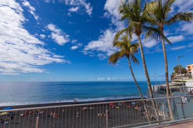 Palmiyeler plajda siyah lav kumlarıyla La Palma Adası, Kanarya Adası, İspanya 'da Puerto Naos' da.