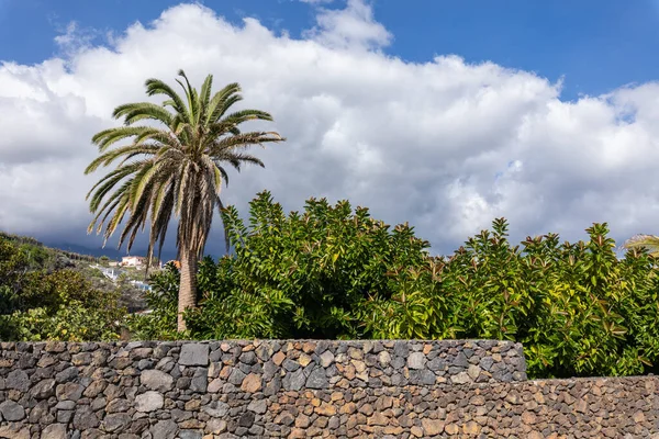 Vista Sulla Spiaggia Los Cancajos Palma Isole Canarie Spagna — Foto Stock