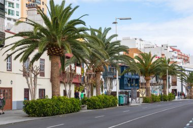 Çiçeklerle süslenmiş ünlü antik renkli balkonlar. Santa Cruz - İspanya 'nın Kanarya Adaları, La Palma adasının başkenti.