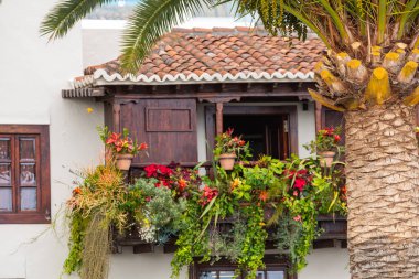 Çiçeklerle süslenmiş ünlü antik renkli balkonlar. Santa Cruz - İspanya 'nın Kanarya Adaları, La Palma adasının başkenti.