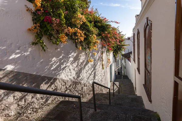 Arquitectura Tradicional Santa Cruz Capital Isla Palma Islas Canarias España — Foto de Stock