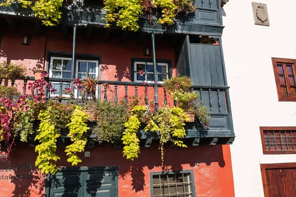 Famous Ancient Colorful Balconies Decorated Flowers Santa Cruz Capital City — Stock Photo, Image