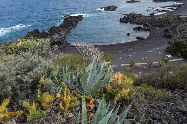 Tropische Cactus Tuin Zwart Zandstrand Bij Los Cancajos Palma Canarische — Stockfoto