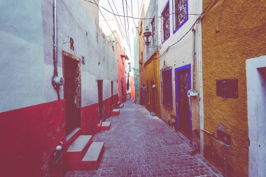 Meksika 'nın Mexico City şehrinde bulunan Charles IV. El Caballito de Tols Ulusal Sanat ve Heykel Müzesi.