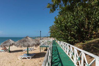 Trinidad, Küba. Egzotik bir sahilde hindistancevizi. Arka planda kumlu bir kumsal, masmavi bir gökyüzü ve okyanusa giren palmiye ağacı.