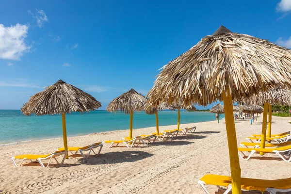 Trinidad Cuba Coconut Exotic Beach Palm Tree Entering Sea Background — Stock Photo, Image