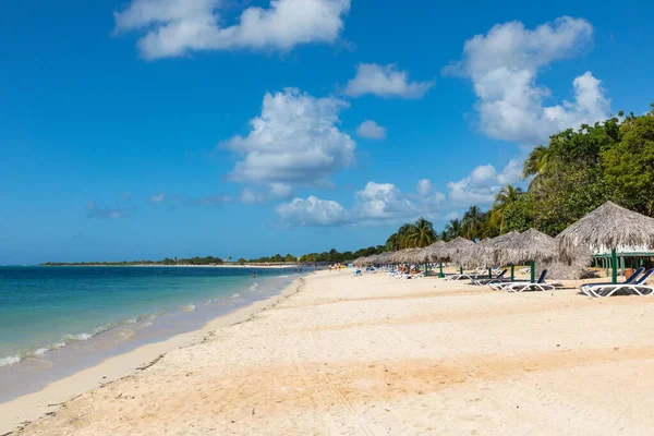 Trinidad Kuba Kokosnuss Einem Exotischen Strand Mit Palmen Die Vor — Stockfoto