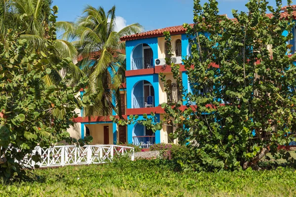 Trinidad Cuba Coconut Exotic Beach Palm Tree Entering Sea Background — Stock Photo, Image
