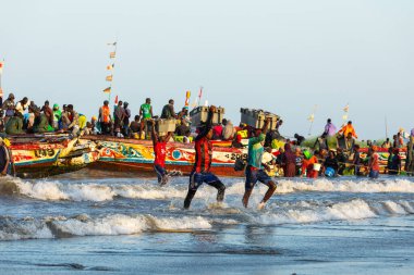 TANJI, GAMBİA - 21 Kasım 2019: İnsanlar teknelerden Tanji, Gambiya, Batı Afrika 'daki plajlara balık taşıyor.