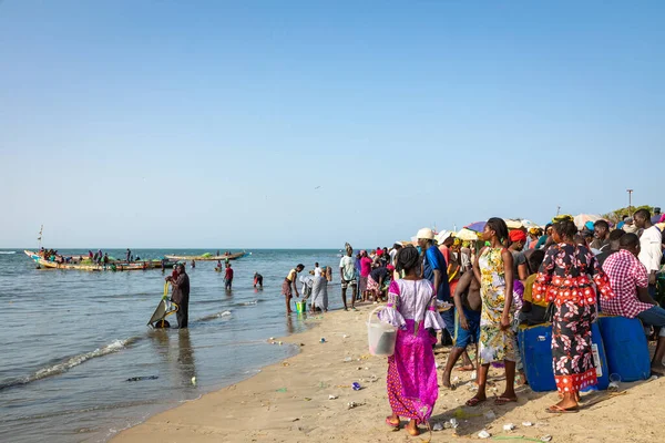 Tanji Gambia November 2019 Människor Som Transporterar Fisk Från Båtarna — Stockfoto