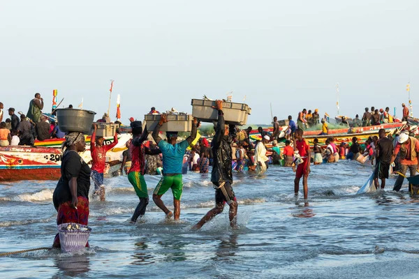 タンジ ガンビア 11月21 2019 タンジ ガンビア 西アフリカのビーチにボートから魚を運ぶ人々 — ストック写真