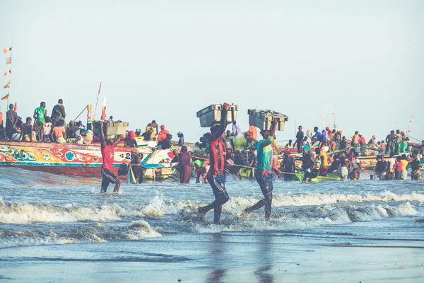 Tanji Gambia November 2019 Människor Som Transporterar Fisk Från Båtarna — Stockfoto