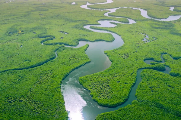 Вид Воздуха Тропические Леса Амазонки Бразилии Южная Америка Зеленый Лес — стоковое фото