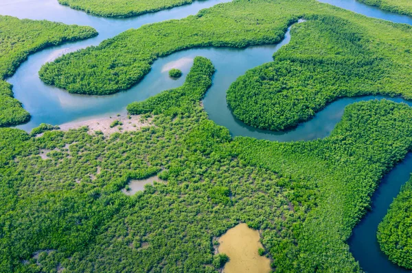 Vue Aérienne Forêt Amazonienne Brésil Amérique Sud Forêt Verte Vue — Photo