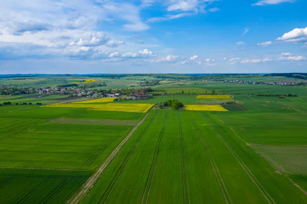 Vista Aérea Del Campo Agricultura Verde Región Del Jura Voivodato — Foto de Stock
