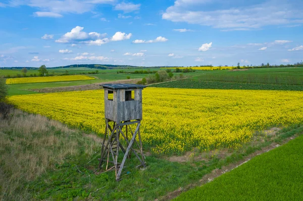 Aerial View Green Agriculture Field Jura Region Silesian Voivodeship Poland — Stock Photo, Image