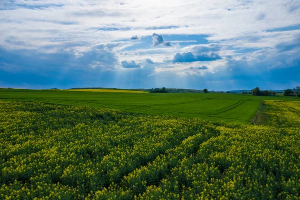 Aerial View Green Agriculture Field Jura Region Silesian Voivodeship Poland — Stock Photo, Image