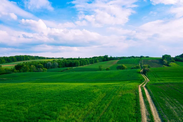 Aerial View Green Agriculture Field Jura Region Silesian Voivodeship Poland — Stock Photo, Image