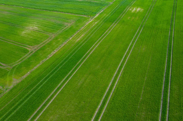 Luftaufnahme Über Die Ländlichen Felder Sommer — Stockfoto