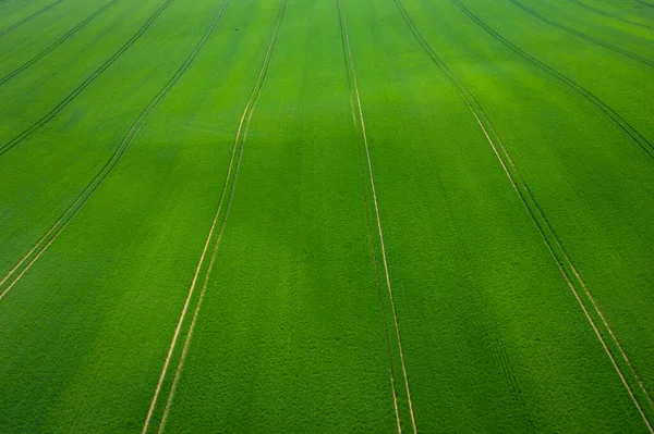 Campos Verdes Vista Aérea Del Tractor Rociando Los Productos Químicos — Foto de Stock