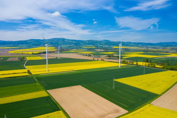 Aerial View Wind Turbine Rapeseed Blooming Windmills Yellow Fields Agricultural — Stock Photo, Image