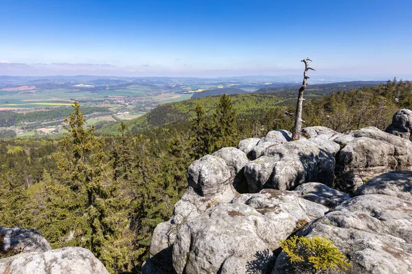 从波兰Kudova Zdroj附近的Szczeliniec Wielki俯瞰斯托洛威山脉国家公园 在波兰旅行的热门目的地 — 图库照片