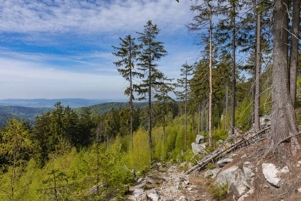 Nationalparken Stolowe Kudowa Zdroj Polen Ett Populärt Resmål Polen — Stockfoto