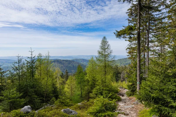 ポーランドのクドワ ズドロジにあるストローロー山脈国立公園 ポーランドでの旅行のための人気のある目的地 — ストック写真