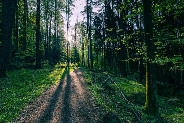 Nationaal Park Stolowe Mountains Kudowa Zdroj Polen Een Populaire Bestemming — Stockfoto