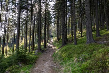 Rudawy Janowickie Peyzaj Parkı. Polonya 'daki Sudetes Dağları' nda. Mala Ostra tepesinden görüntü.