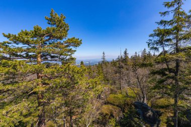 Stolowe Dağları Ulusal Parkı. Szczeliniec Wielki 'deki kaya oluşumları Kudowa-Zdroj, Aşağı Silezya, Polonya yakınlarında yürüyüş parkurları.